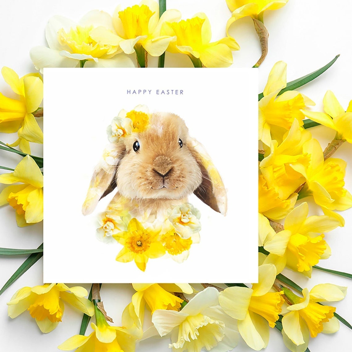 Happy Easter Bunny Greeting Card