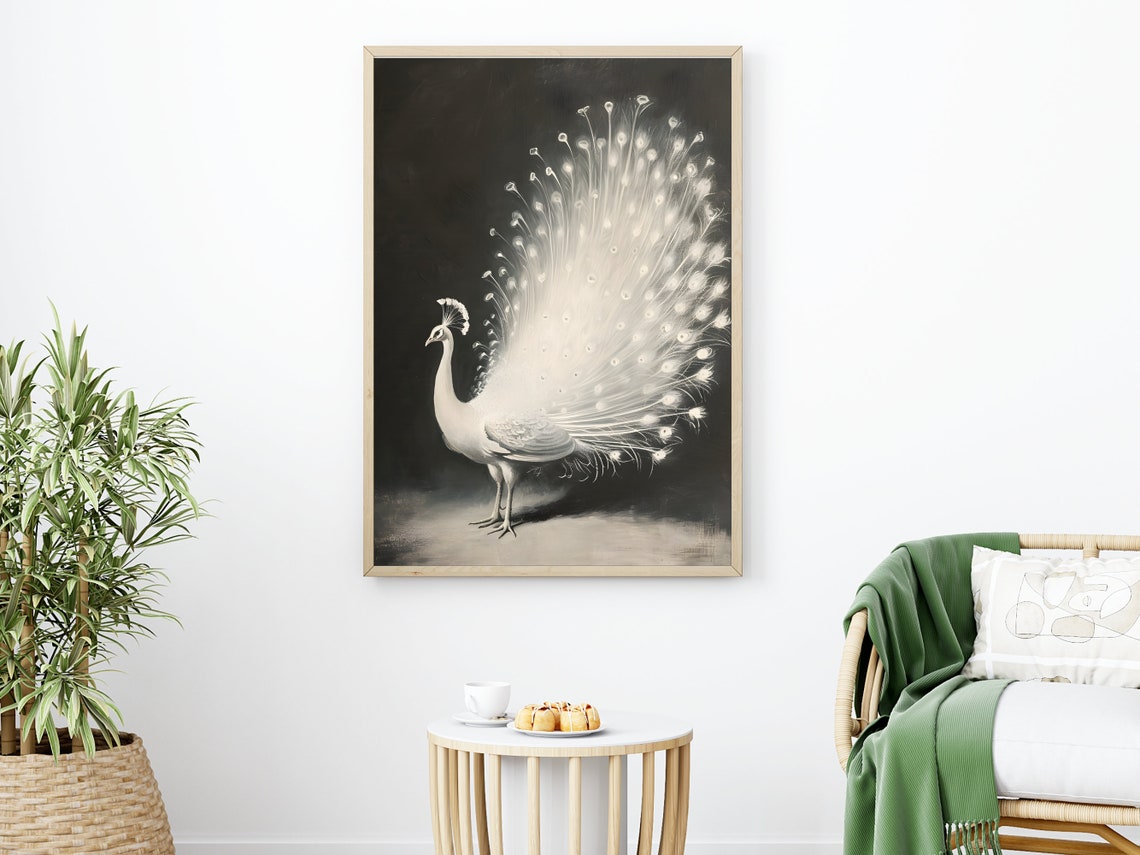 White Peacock Fanned Tail Feathers Dramatic Black Background Poster - Image 2