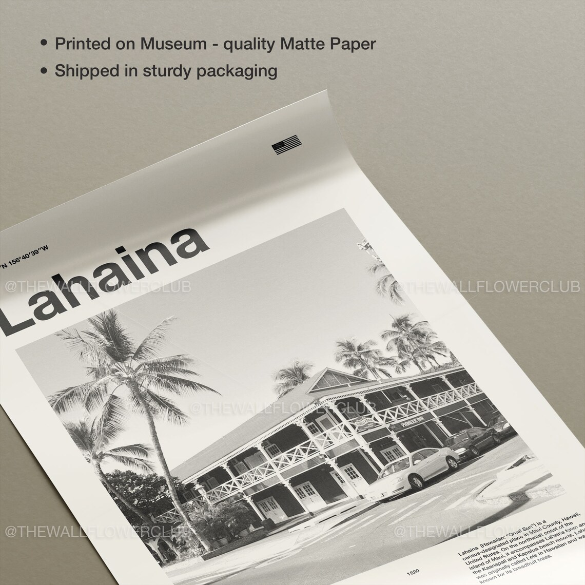 Lahaina Hawaii Historic Town Photo Travel Art Wall Decor Poster - Image 3