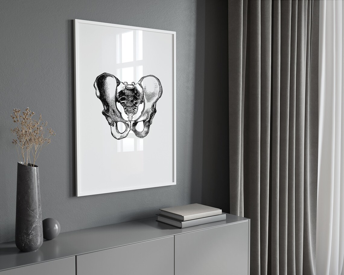 Hips Anatomy Print, Vintage Medical Wall Art - Image 2