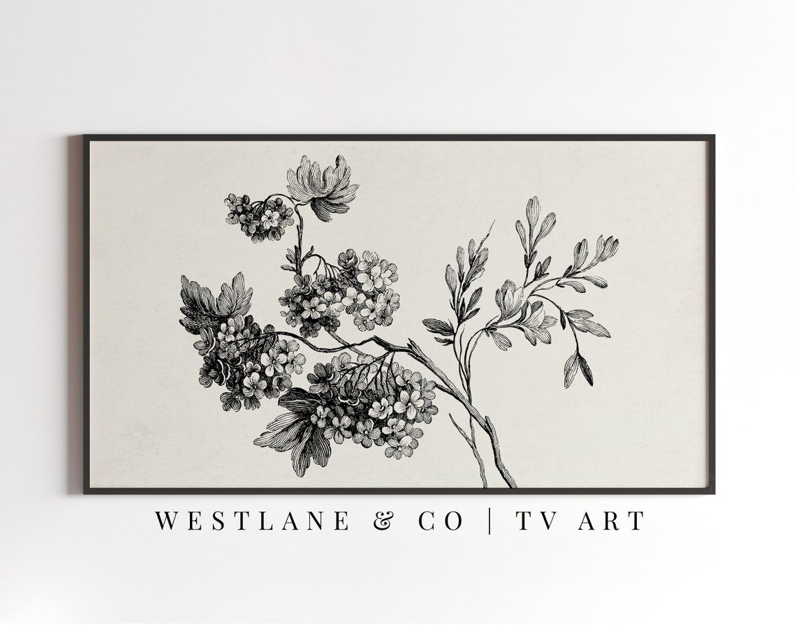 Vintage Black White Botanical Engraving Flowering Branch Wall Art