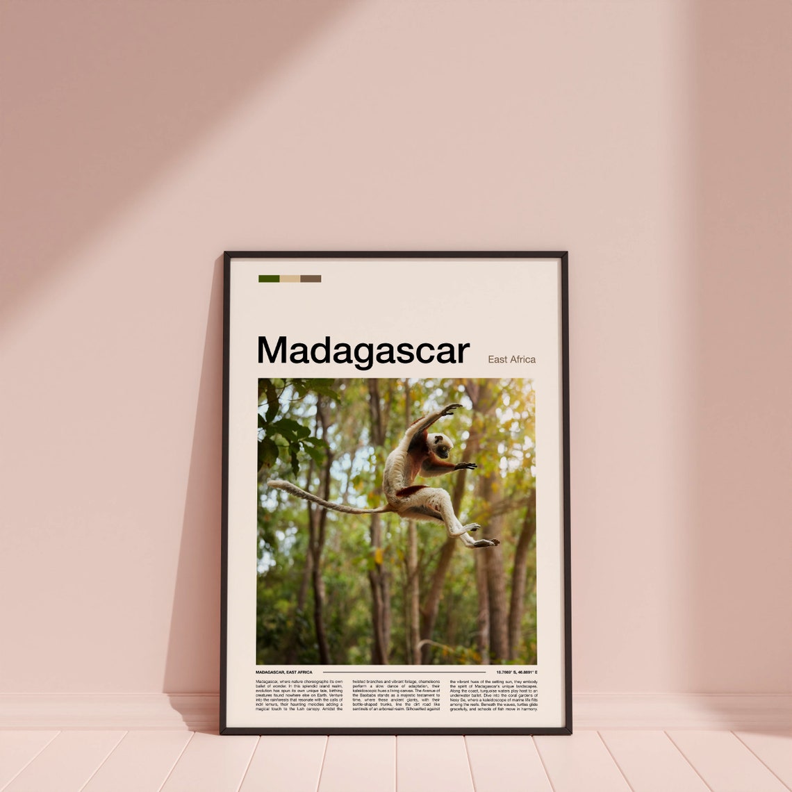 Madagascar Leaping Sifaka Lemur Forest Wildlife Photography Poster - Image 4