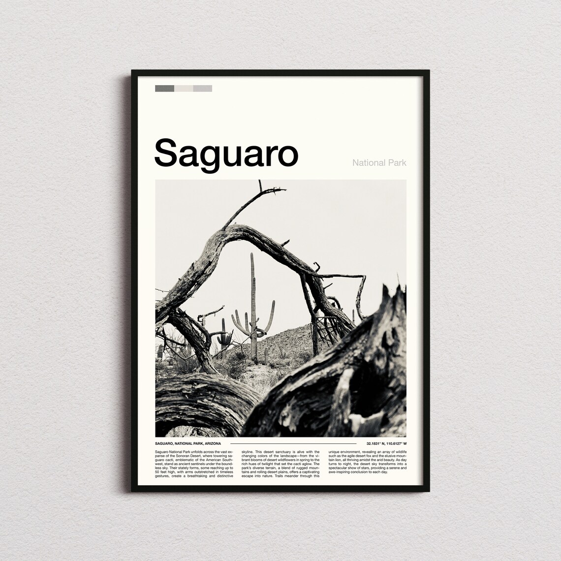 Saguaro Arizona National Park Black White Cactus Photo Poster
