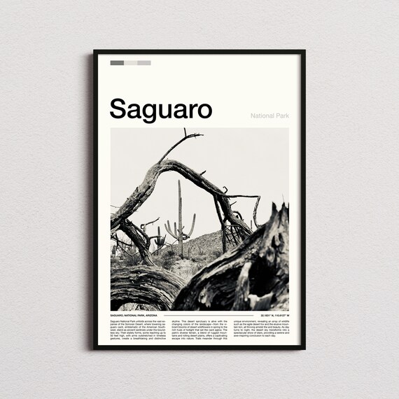 Saguaro Arizona National Park Black White Cactus Photo Poster