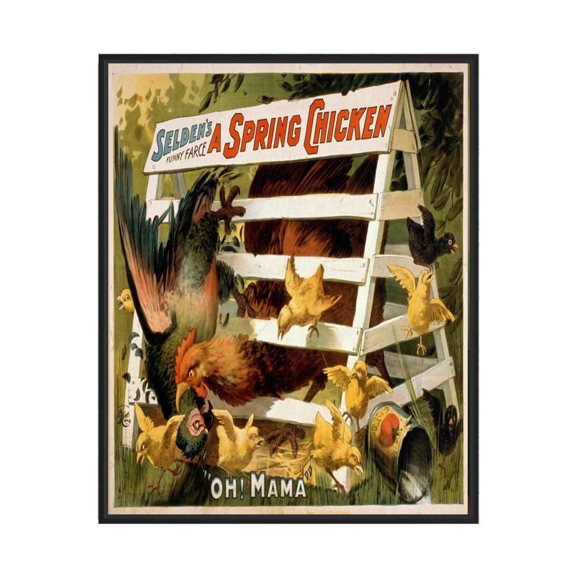 Selden's A Spring Chicken 1898 Vintage Theater Advertisement Poster