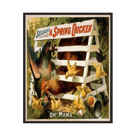 Seldens Funny Farce A Spring Chicken 1898 Art Print Poster Vintage Bird Wall Art Painting Bird Photo Decor