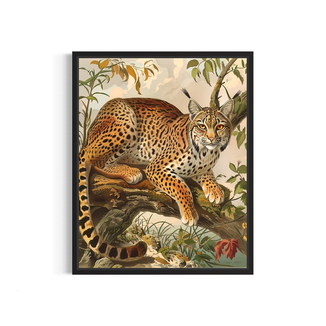 Bobcat Resting on Branch Vintage Naturalist Wildlife Art Poster