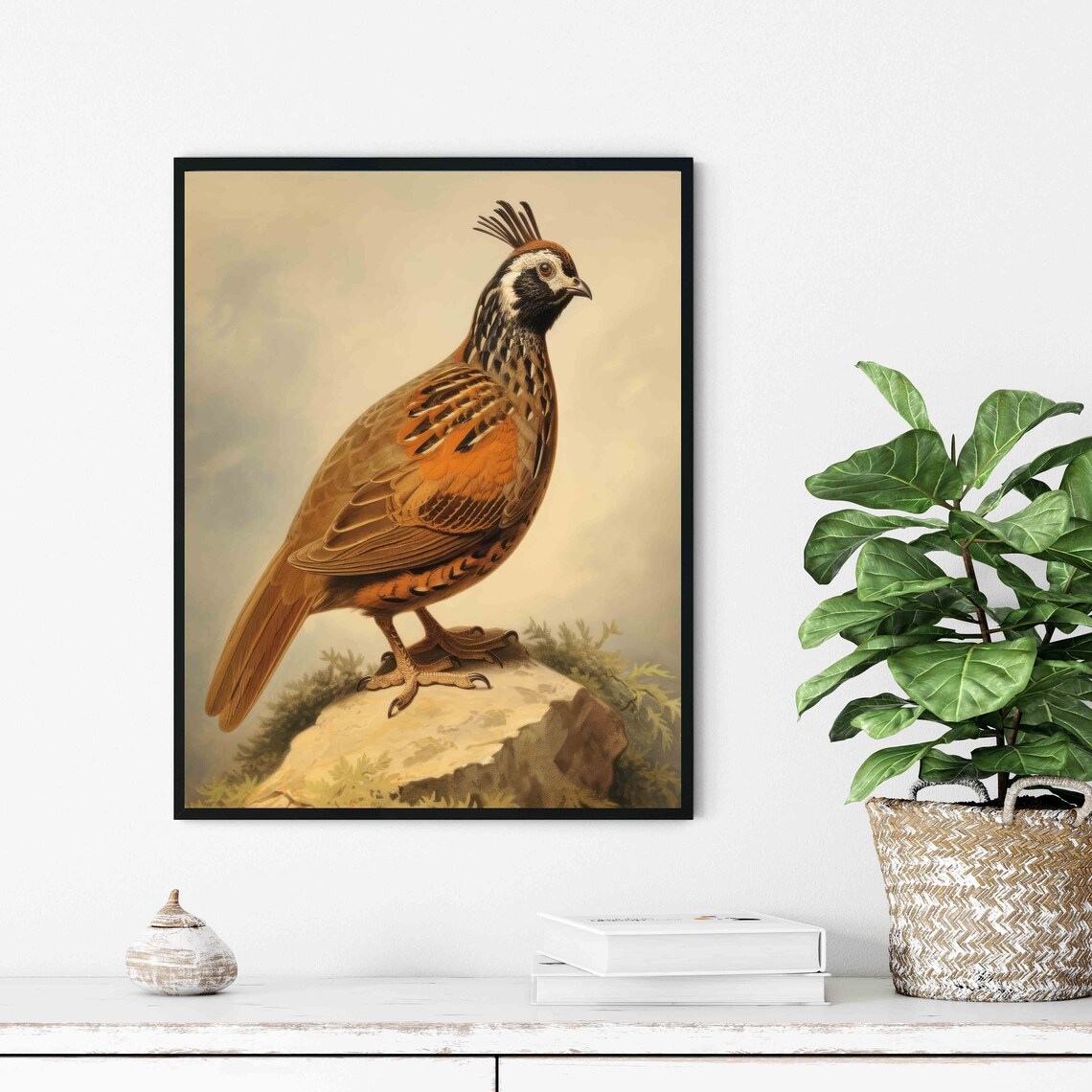 Quail Vintage Naturalist Illustration Crested Bird Rock Art Poster - Image 3