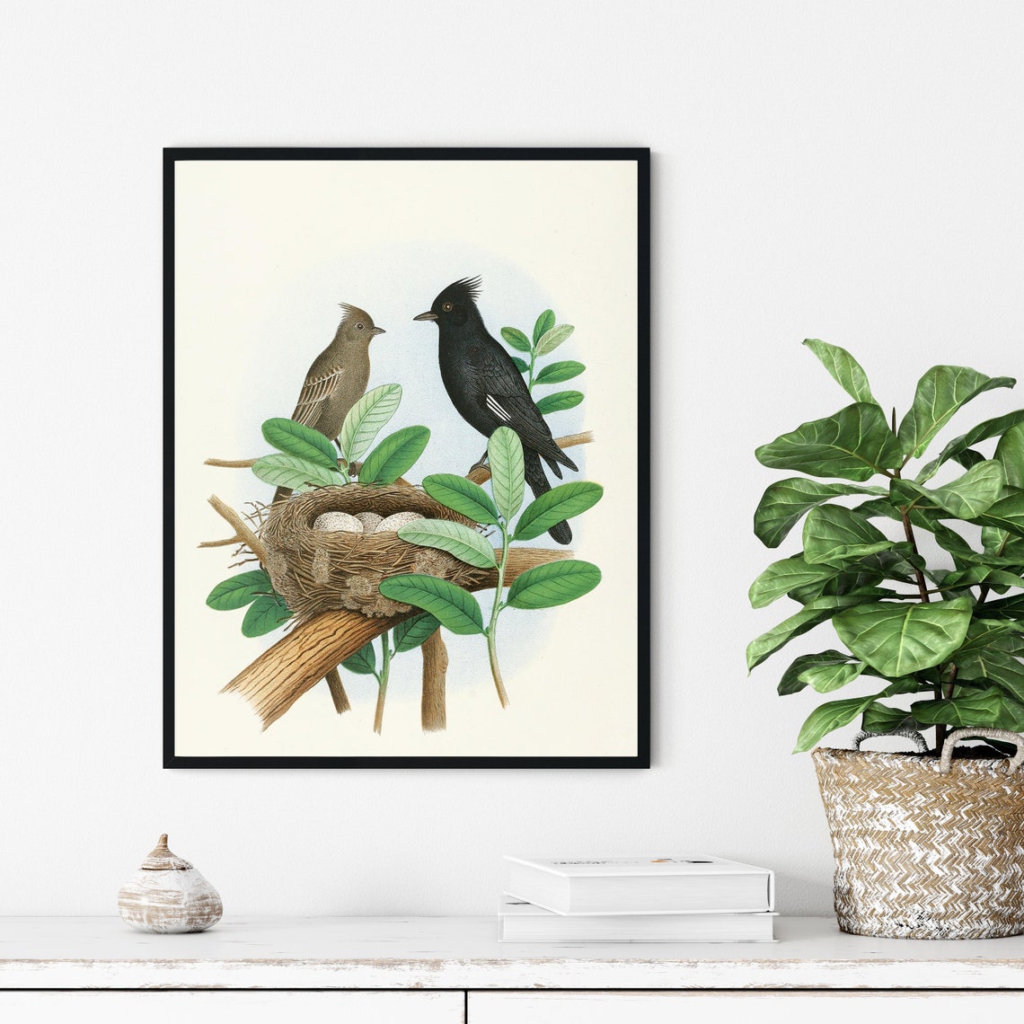 Black Crested Flycatcher Pair at Nest Vintage Bird Art Poster - Image 3
