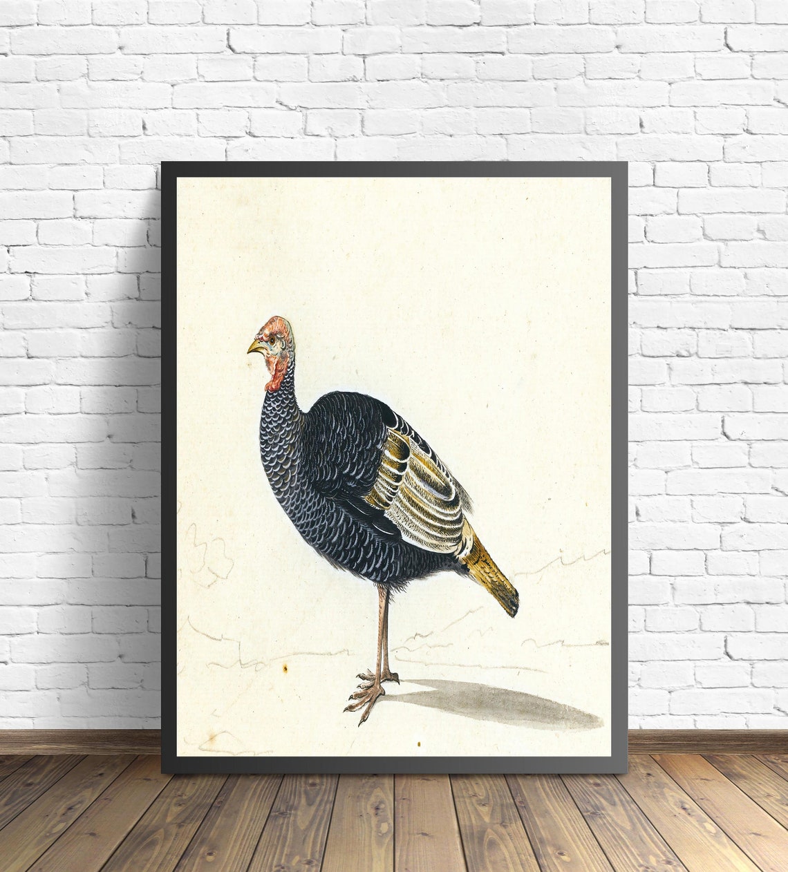 Wild Turkey Hen Antique Style Vintage Naturalist Bird Wall Art - Image 2