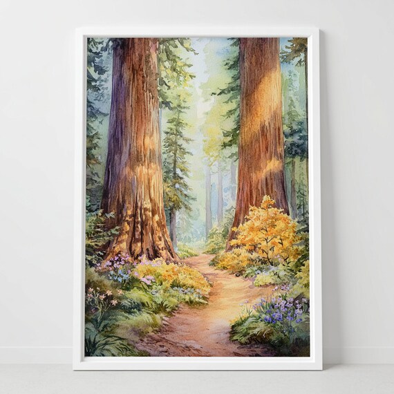 Sequoia National Park Giant Redwoods Trail Watercolor Poster