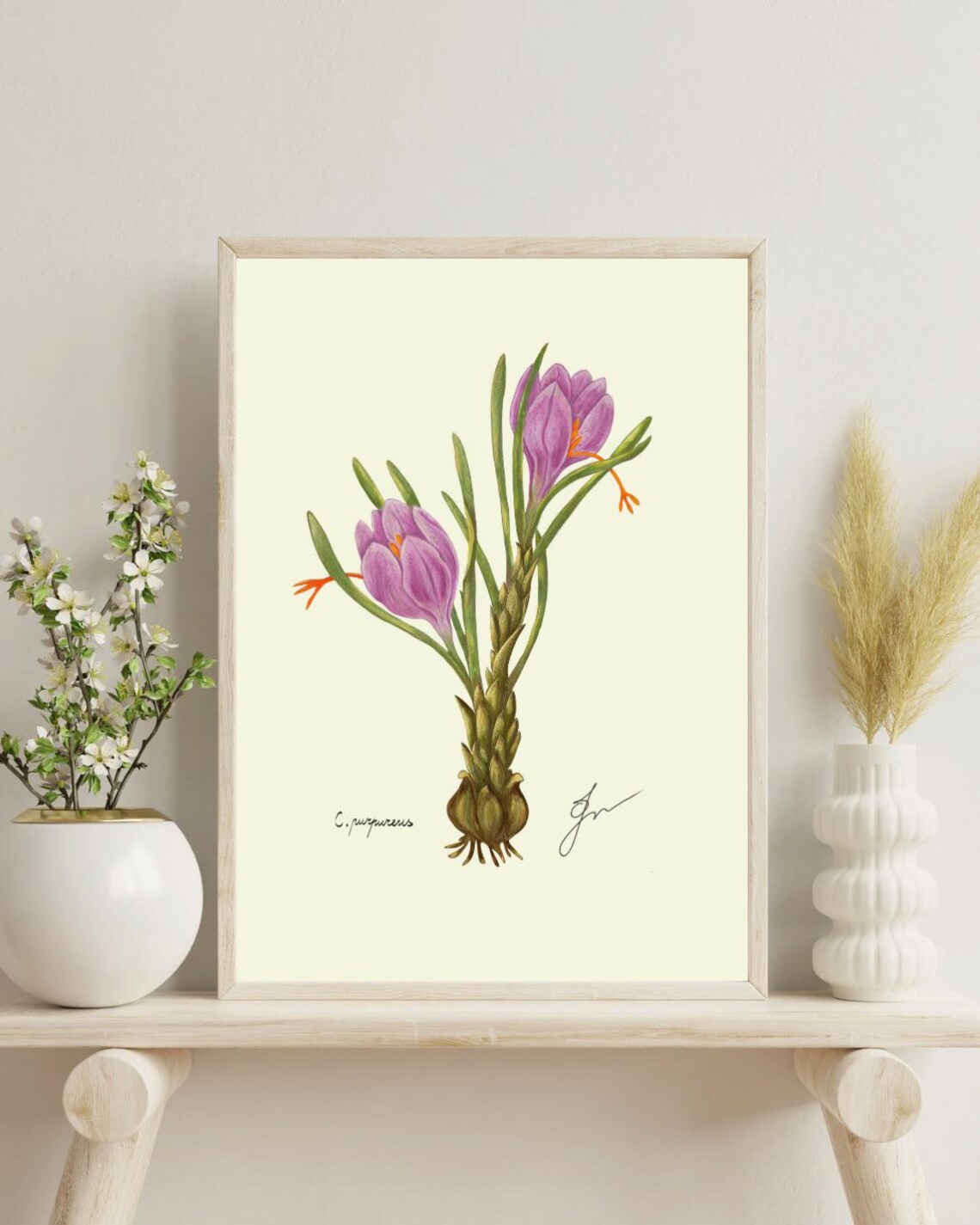 Vintage Crocus Flower Art Print, Botanical Spring