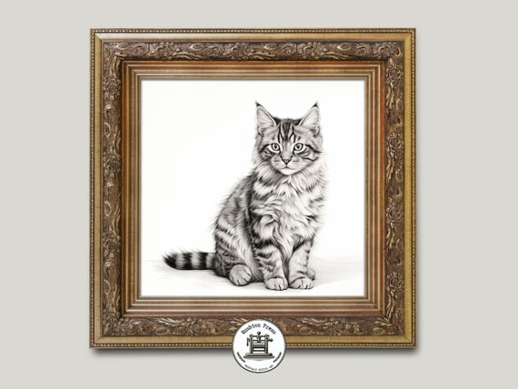 Tabby Kitten Pencil Sketch Sitting Cat Portrait Animal Poster