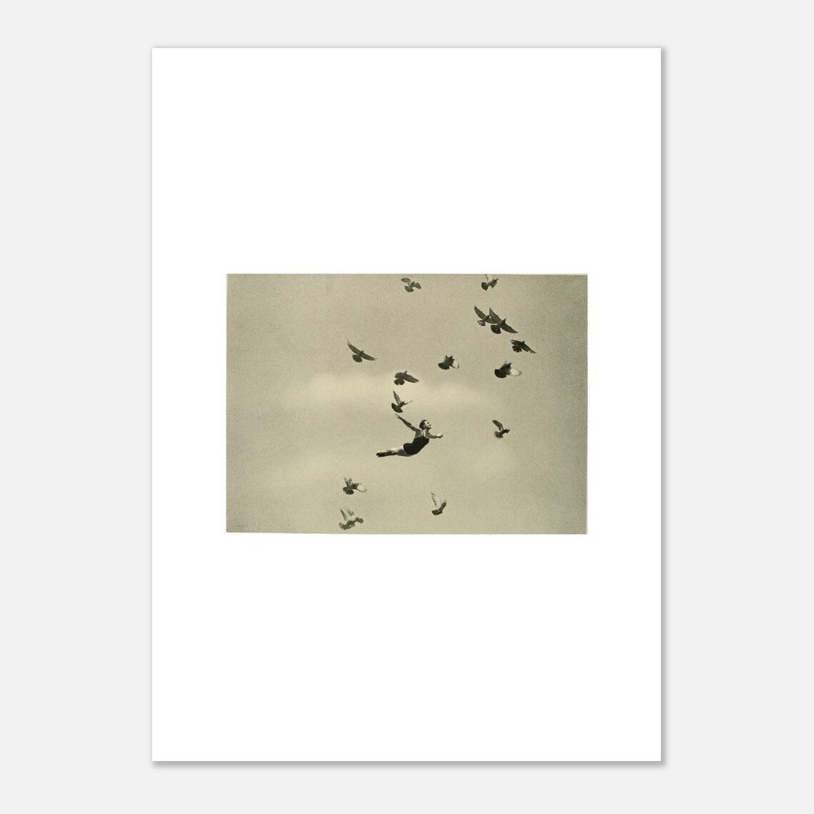 Birds Of Paradise Poster Collage Art Print - Image 2