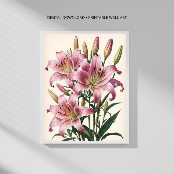 Pink Lily Modern Botanical Minimalist Art Print