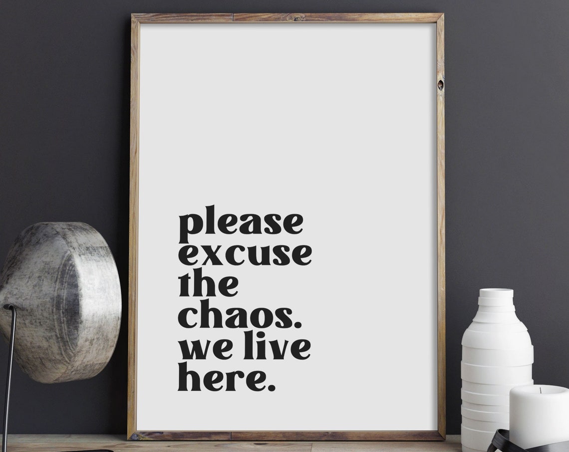 Please Excuse The Chaos We Live Here Funny Family Quote Poster
