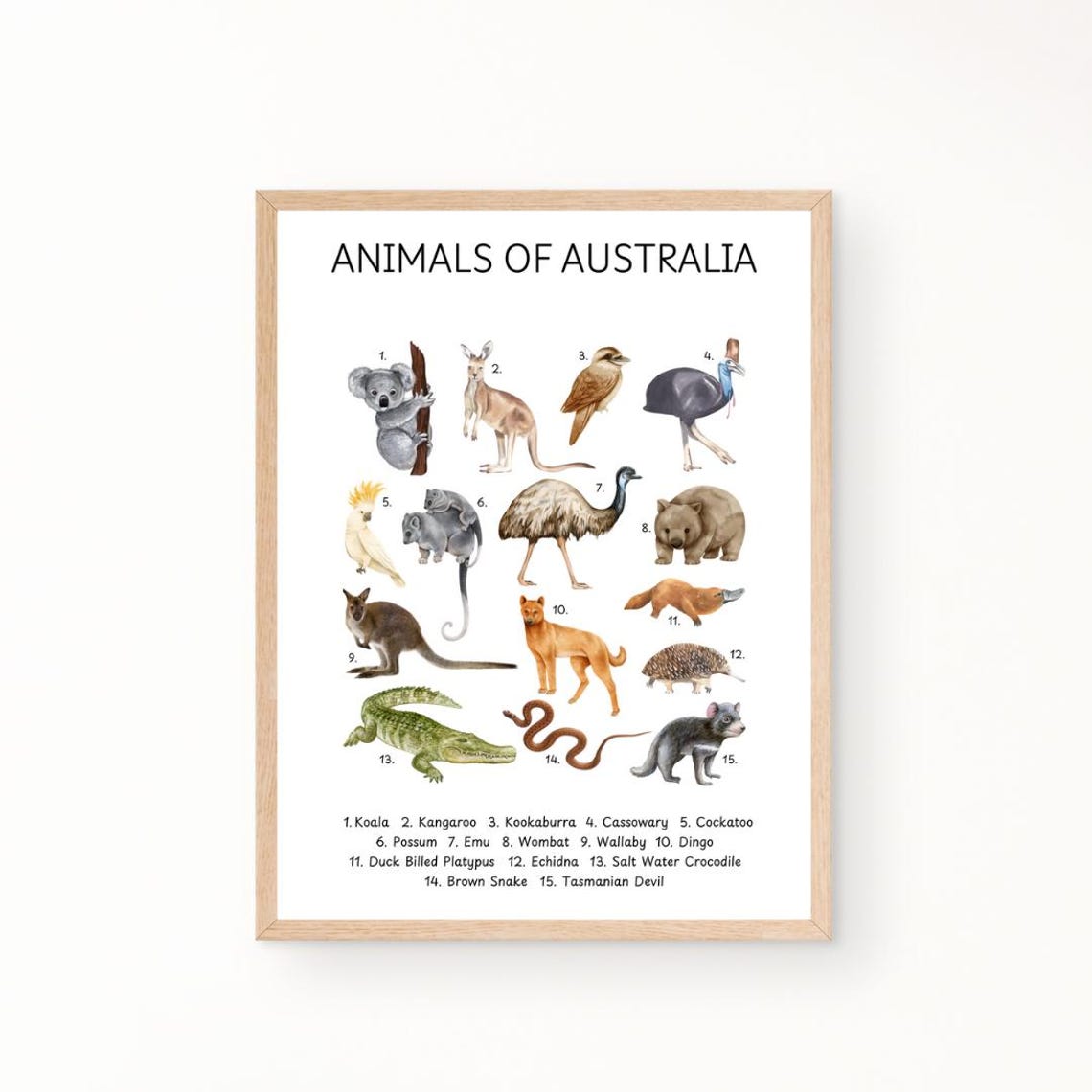 Animals Of Australia Educational Chart Kids Animal Learning Poster