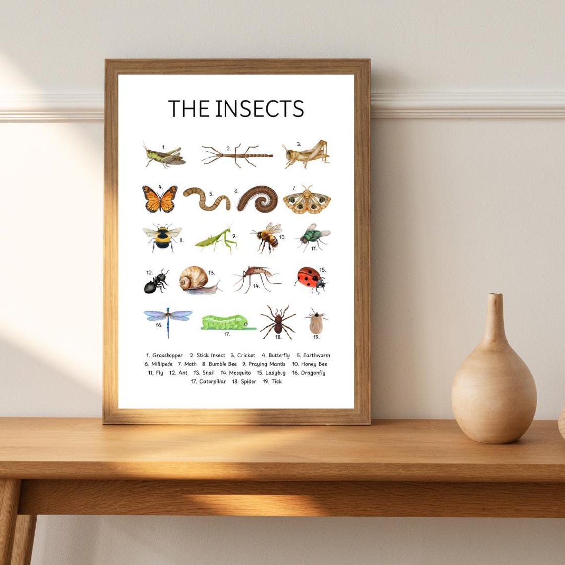 The Insects Educational Chart Kids Bug Identification Poster - Image 2