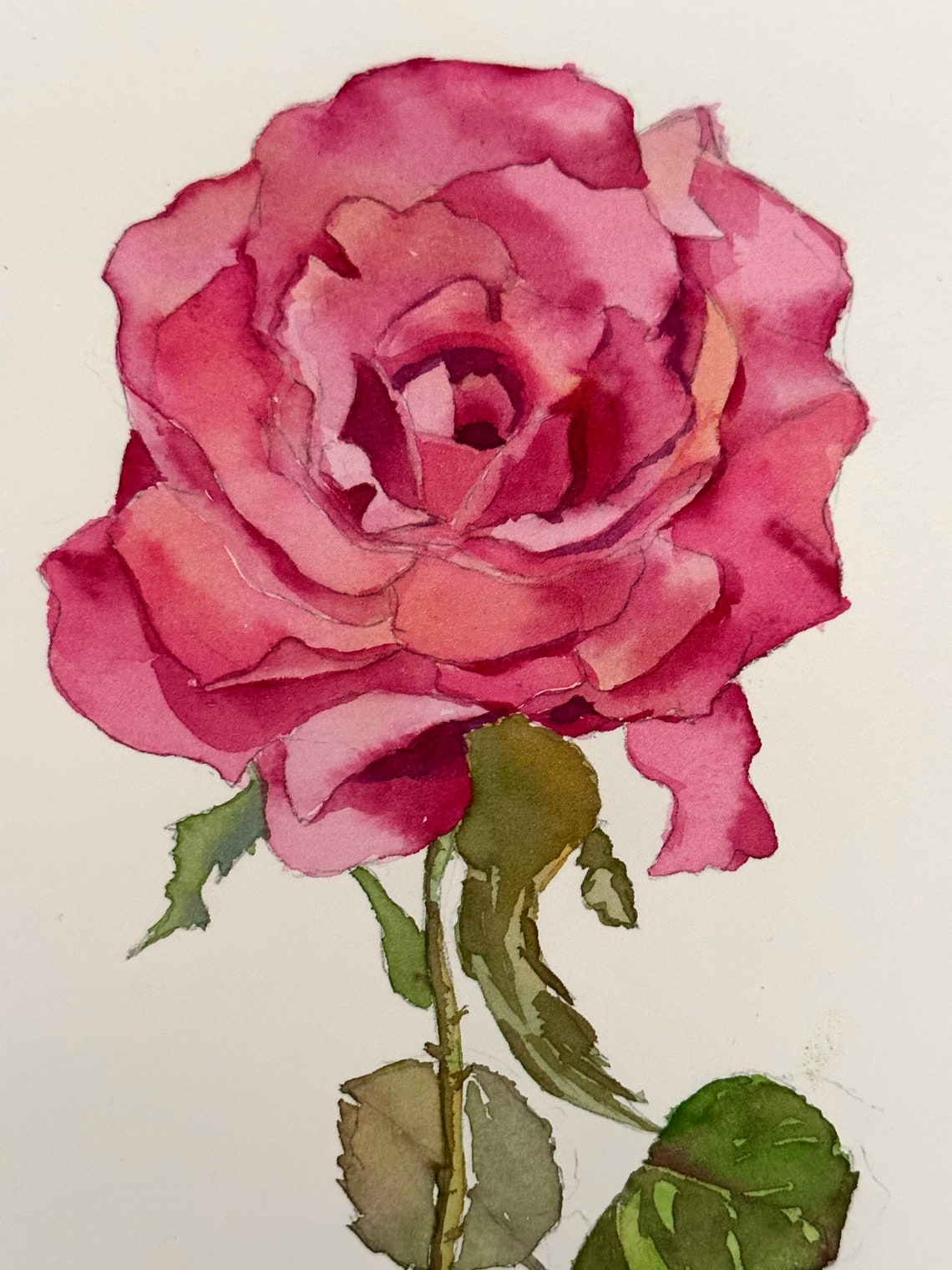 Single Pink Rose Bloom Close Up Watercolor Floral Art Poster