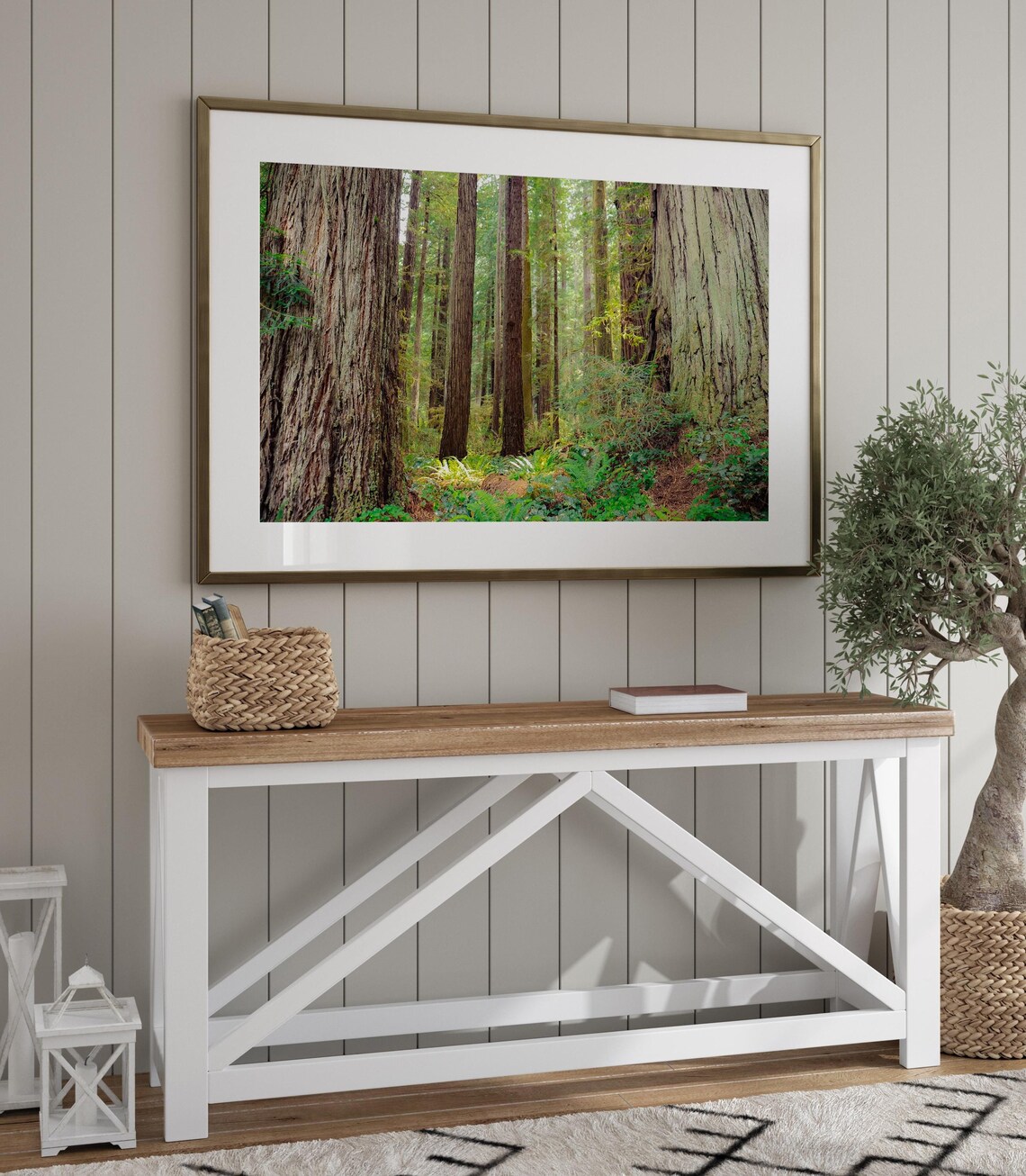 California Redwood Decor, Redwood National Park