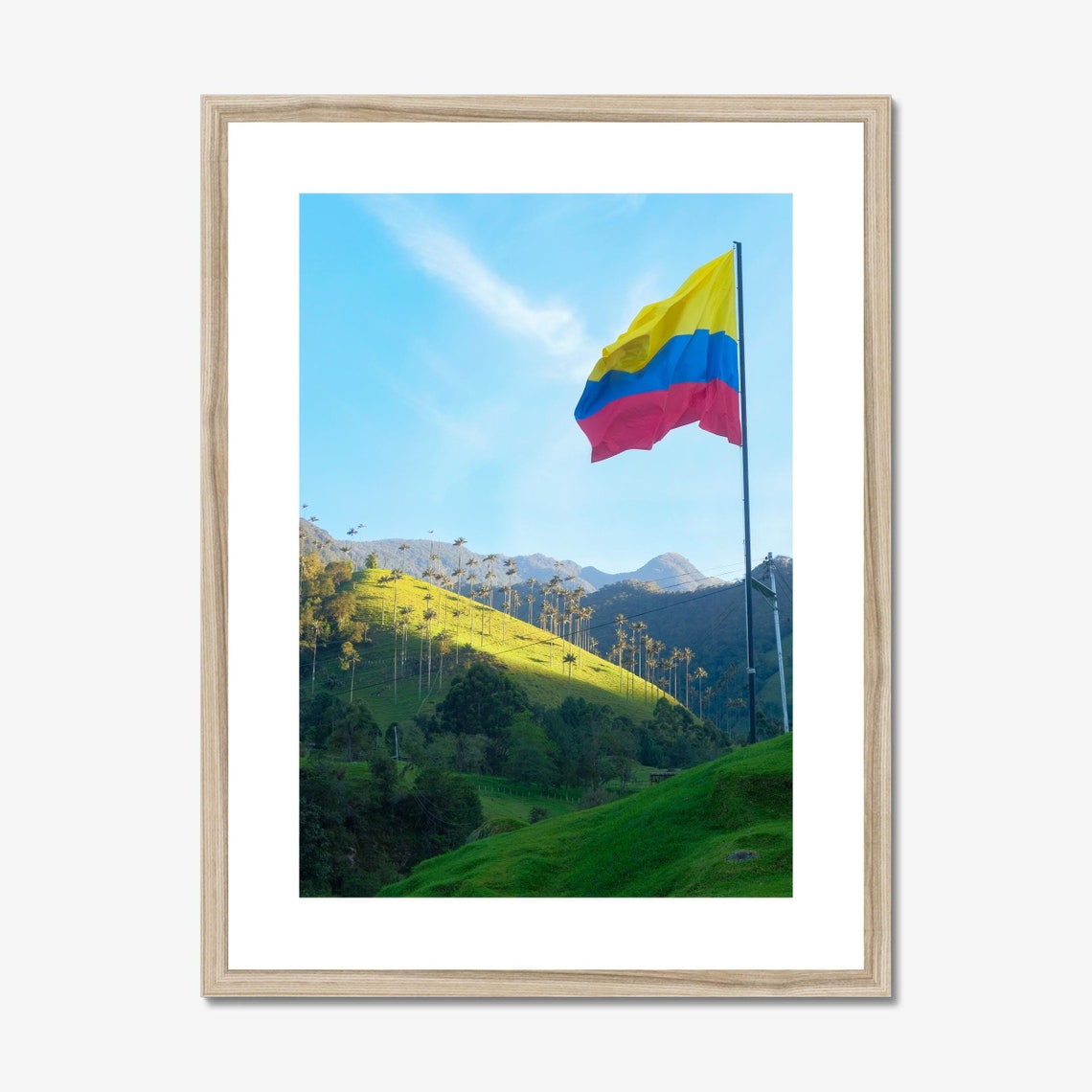 Cocora Valley Colombia Landscape Photo Poster