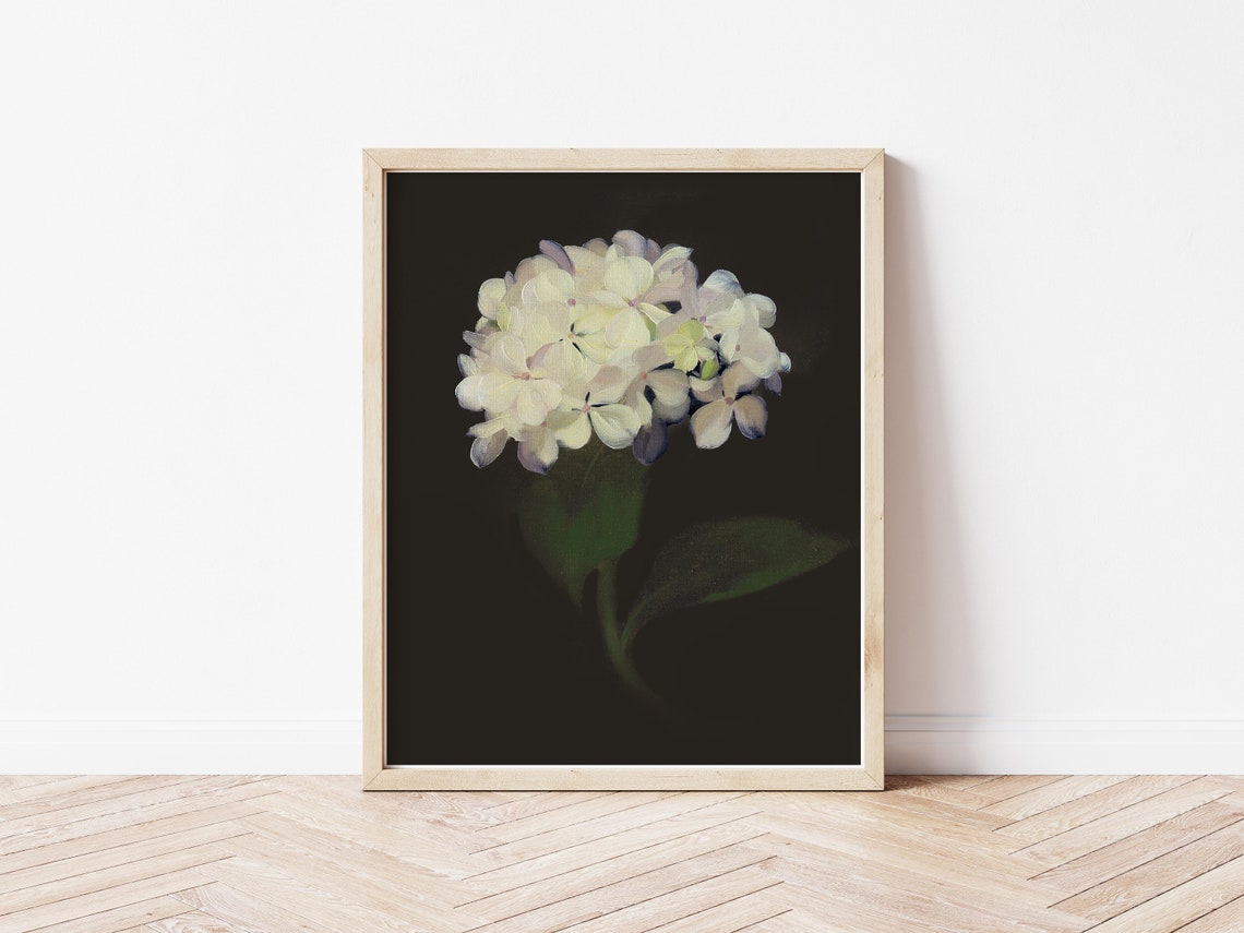 White Hydrangea Black Background Moody Floral Oil Painting Poster - Image 2