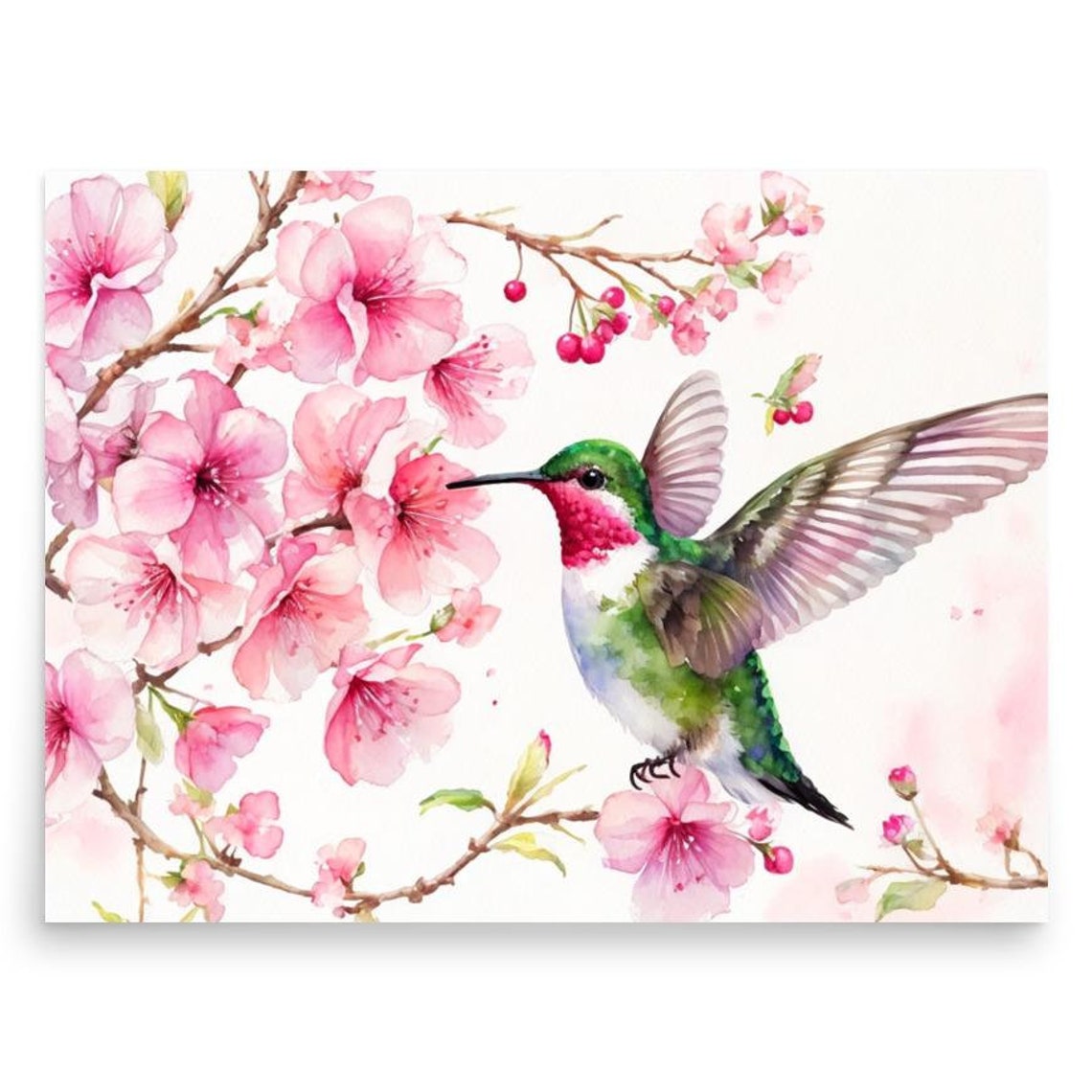 Ruby Throated Hummingbird With Pink Cherry Blossoms Watercolor Poster