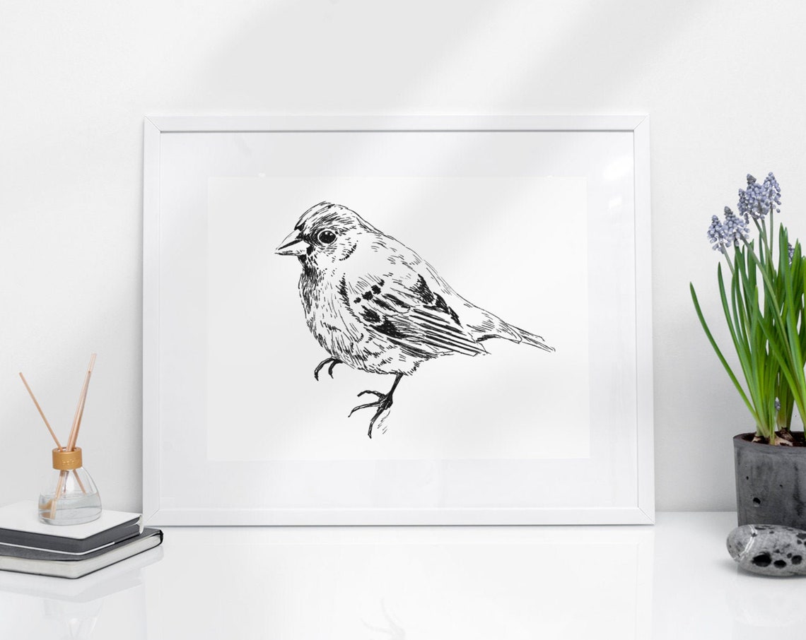 Art Poster Unique Wall Dcor Nursery Prints Animal Prints For Framing Animal Nature Prints Bird Sparrow - Image 3