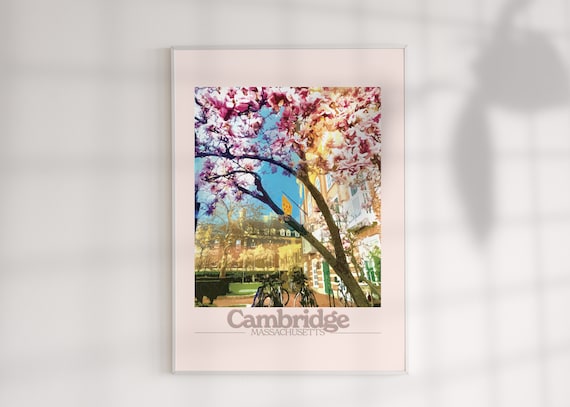 Cambridge Massachusetts Spring Cherry Blossom Streets Travel Poster