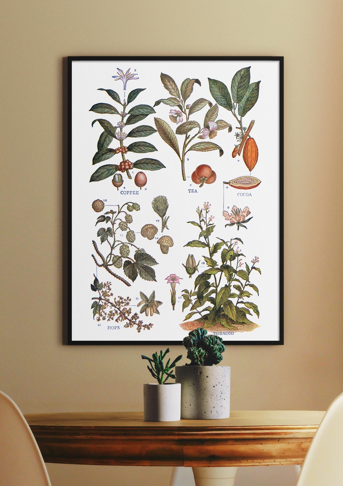 Coffee Tea Cocoa Hops Tobacco Botanical Vintage Illustration Poster - Image 3