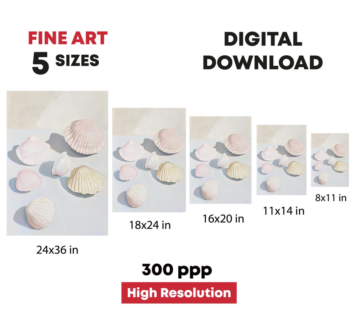 Blush Pink Scallop Shells Sunlit White Table Coastal Beach Print - Image 4