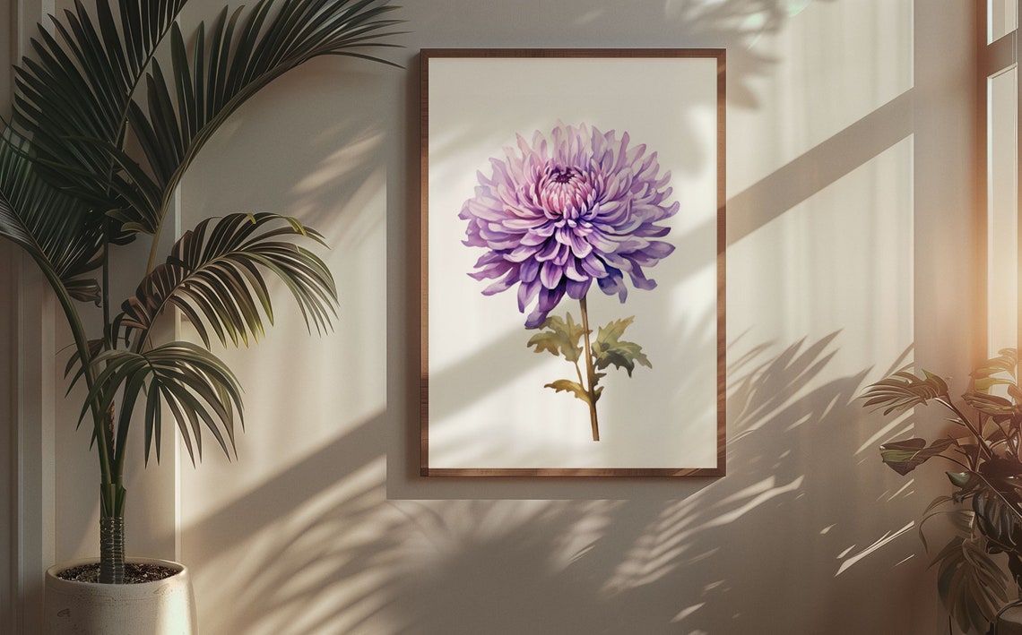 Purple Chrysanthemum Bloom Watercolour Botanical Flower Poster - Image 5