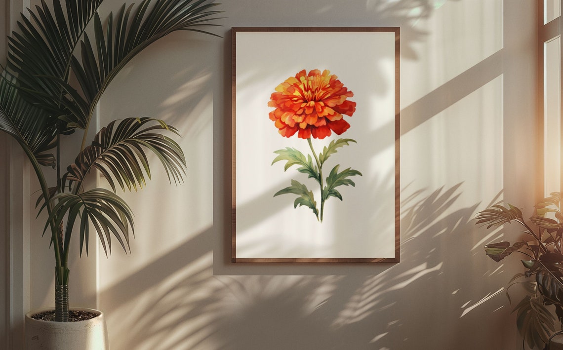 Bold Red Marigold Single Flower Watercolour Botanical Art Poster - Image 2