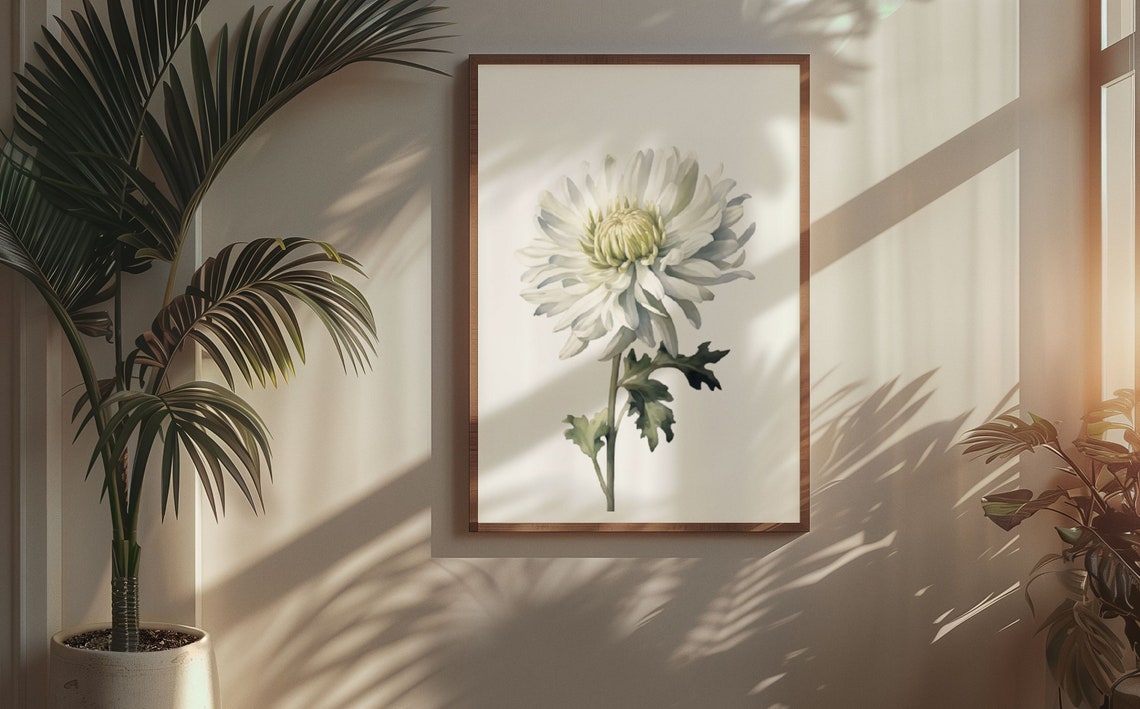 White Chrysanthemum Bloom Watercolour Botanical Flower Poster - Image 5