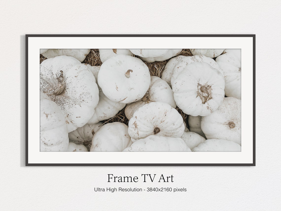White Pumpkin Harvest Patch Rustic Fall Farmhouse Photo Print - Image 4