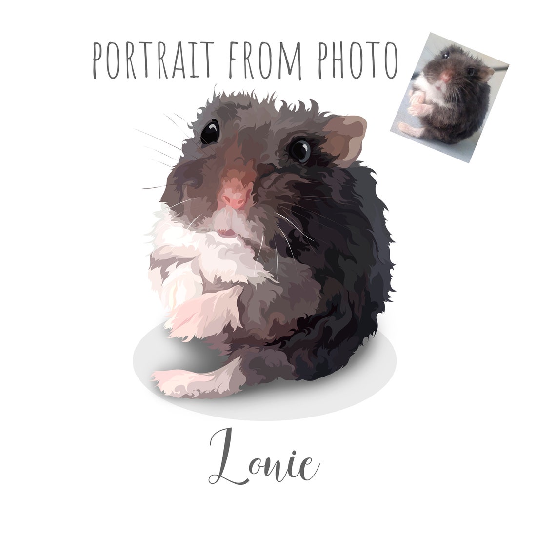 Emmett the Fluffy Guinea Pig Custom Vector Pet Portrait Poster - Image 5
