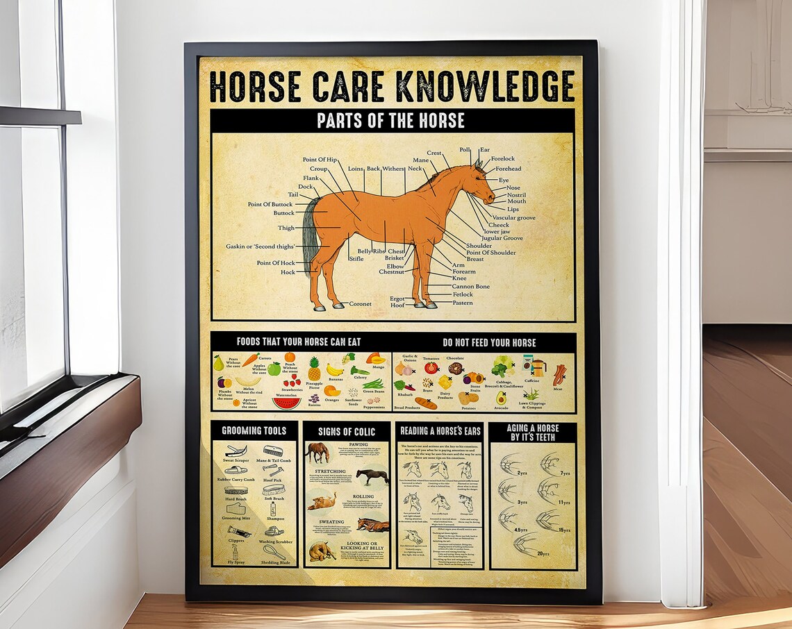 Horse Care Knowledge Guide for Horse Lovers Poster