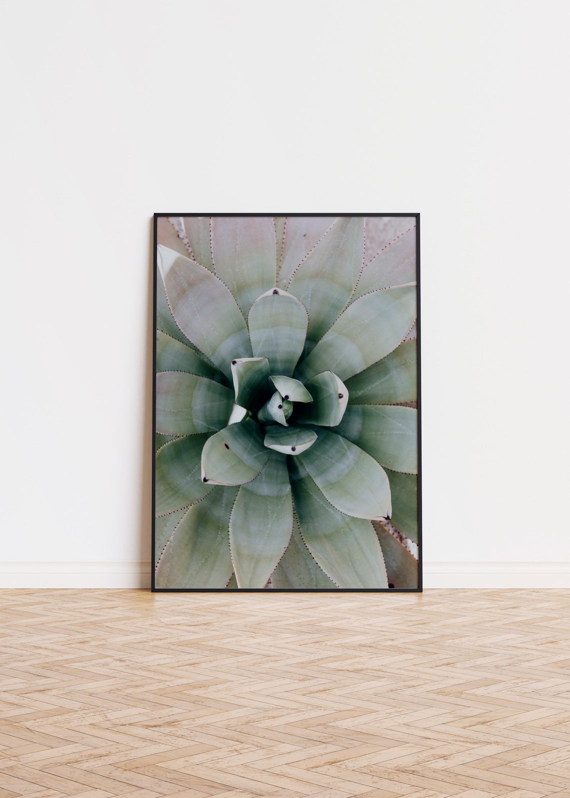 Agave Succulent Close-Up Botanical Photography Botanical Art Poster