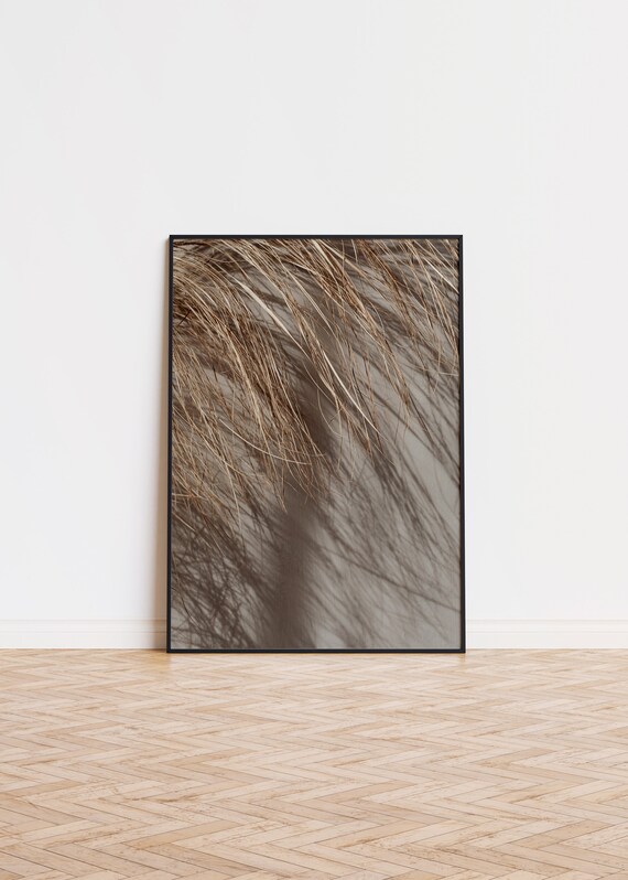 Dried Palm Frond Shadows Warm Beige Botanical Photography Poster