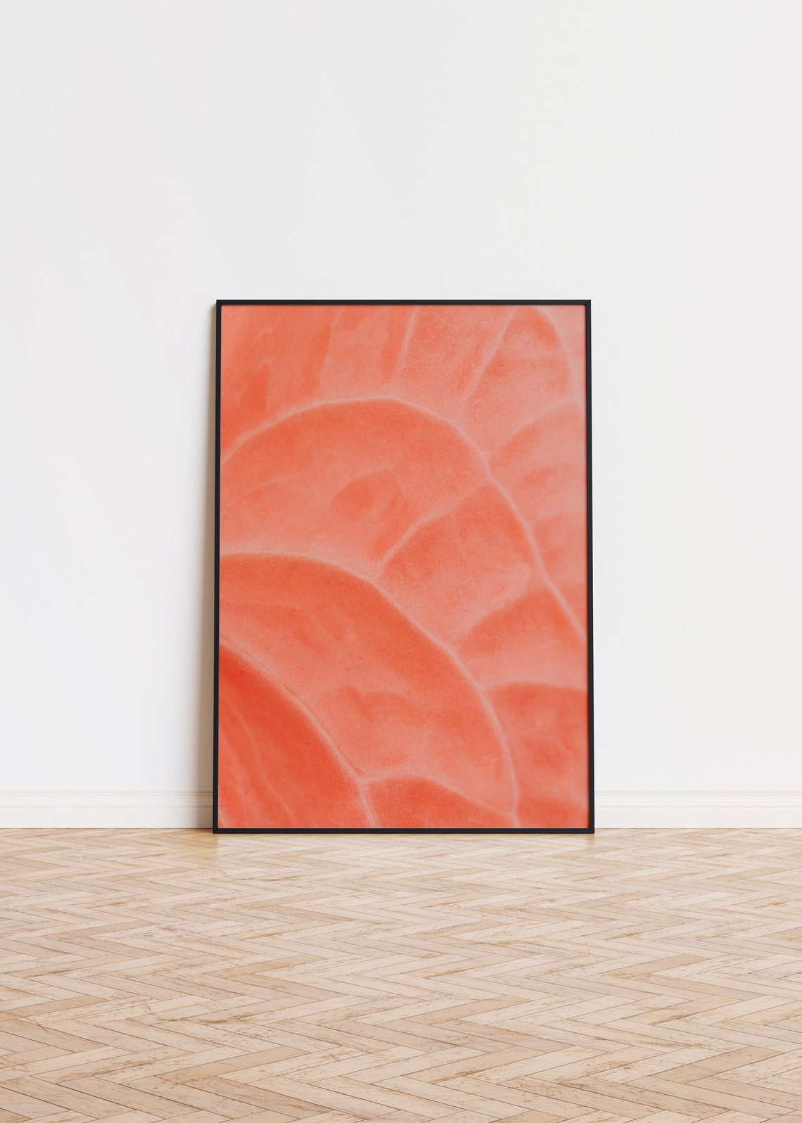 Coral Anthurium Macro Botanical Photography Peach Wall Poster