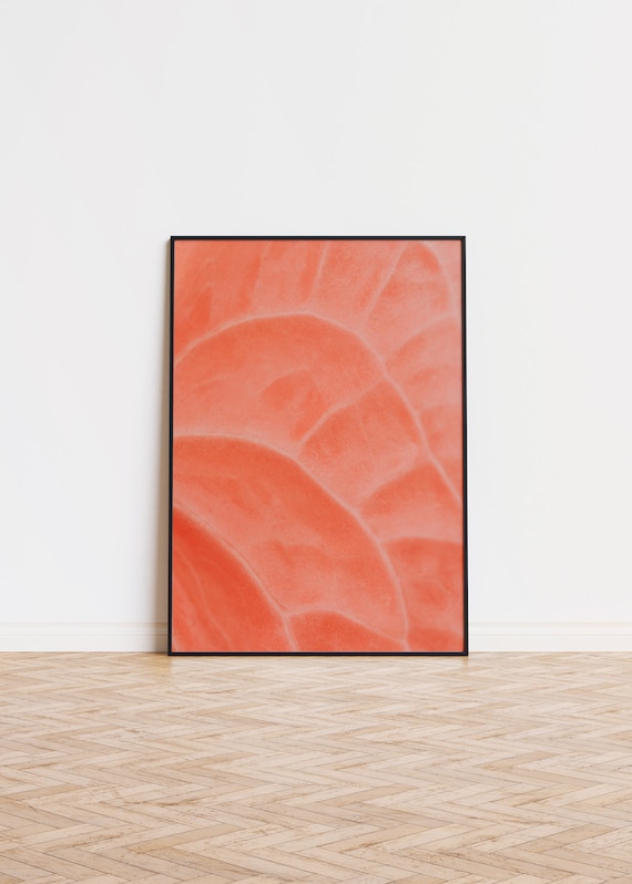 Coral Anthurium Macro Botanical Photography Peach Wall Poster
