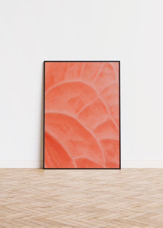 Peach Color Anthurium Poster Wall Art Forms Printed