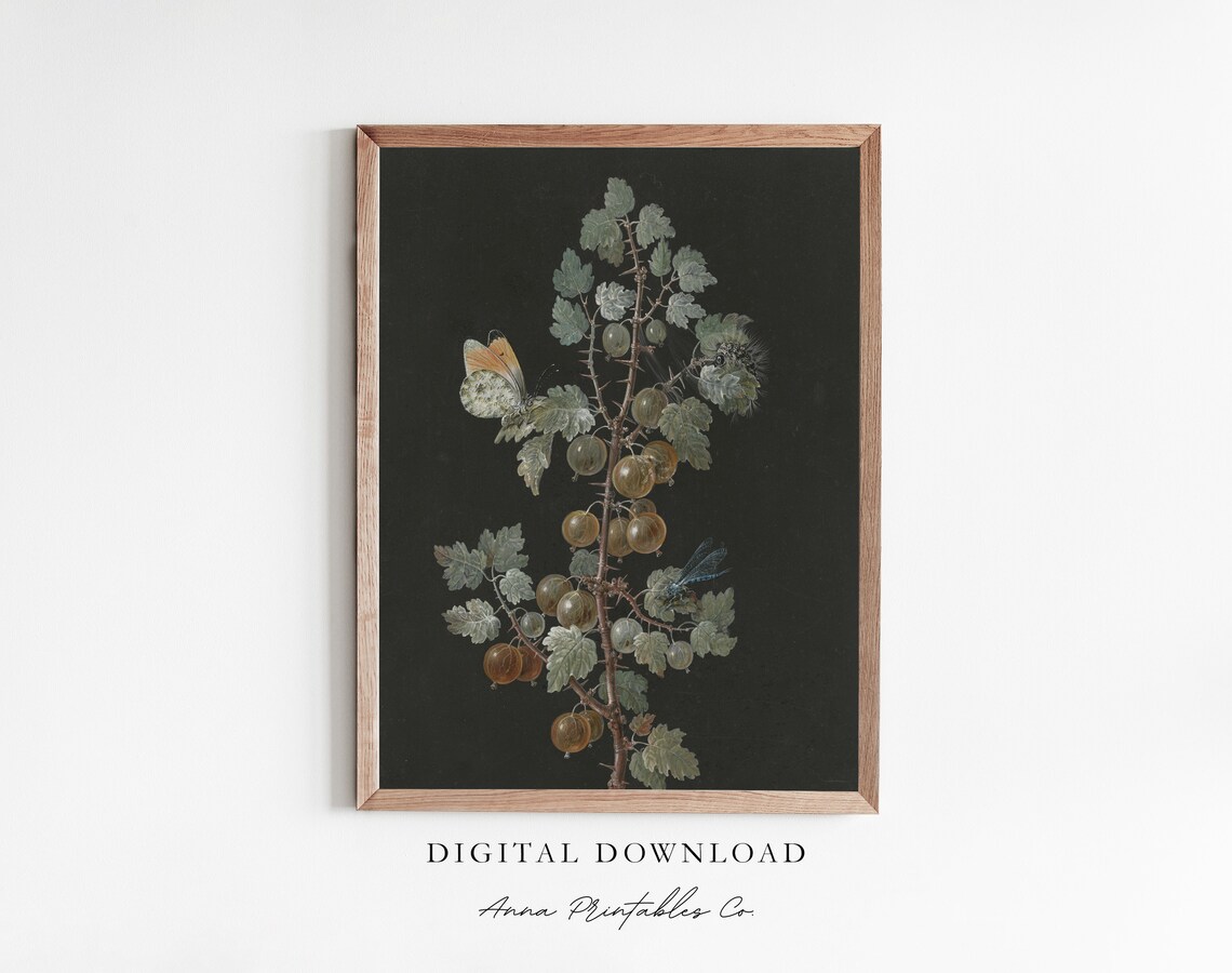 Ripe Gooseberry Branch With Butterfly Vintage Botanical Wall Art