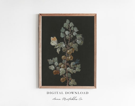 Berry Branch With Butterfly Vintage Plant Illustration Digtal Dark Botanical Wall Art Dark Cottagecore Decor Moody Art