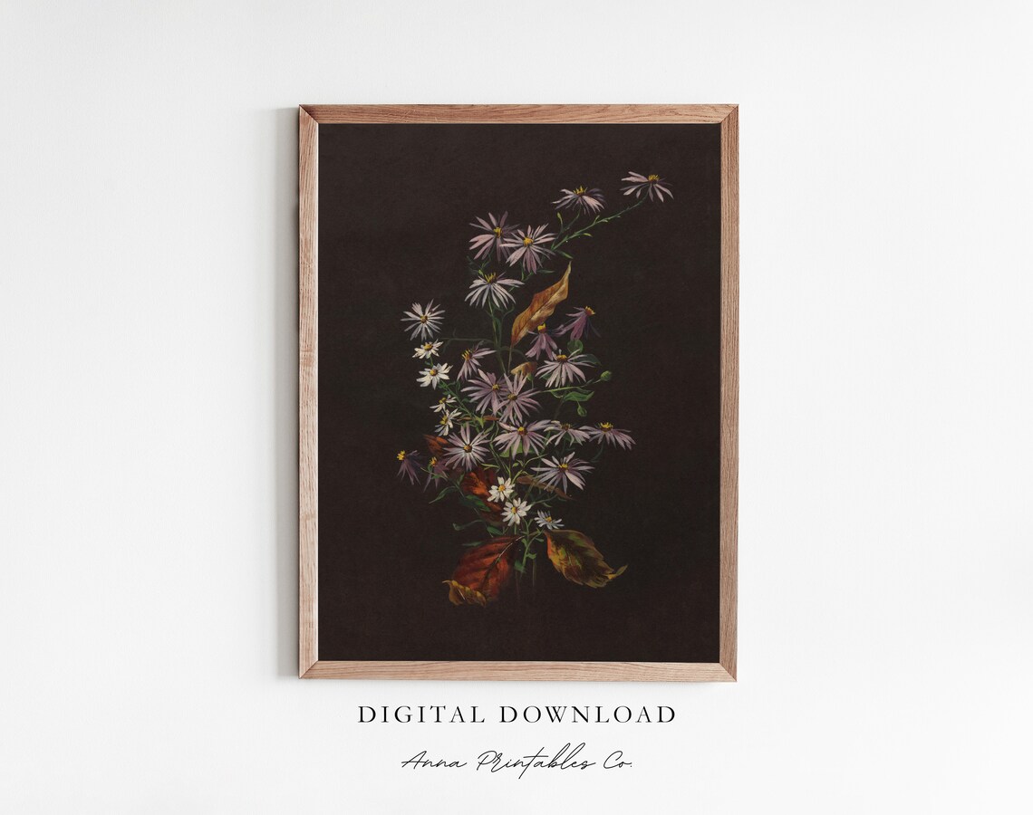 Daisies and Aster Antique Moody Floral Art Print