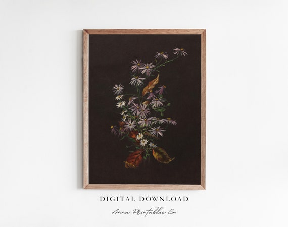 Daisies and Aster Antique Moody Floral Art Print