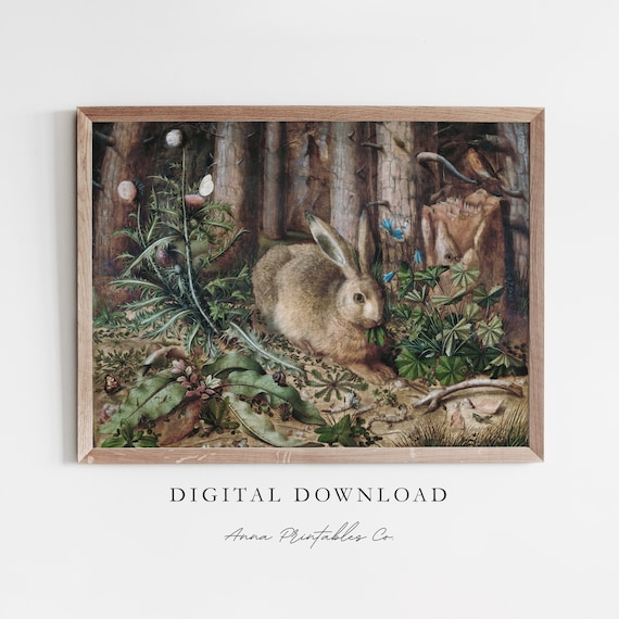 Rabbit on Forest Floor Vintage Woodland Animal Antique Detailed Nature Poster