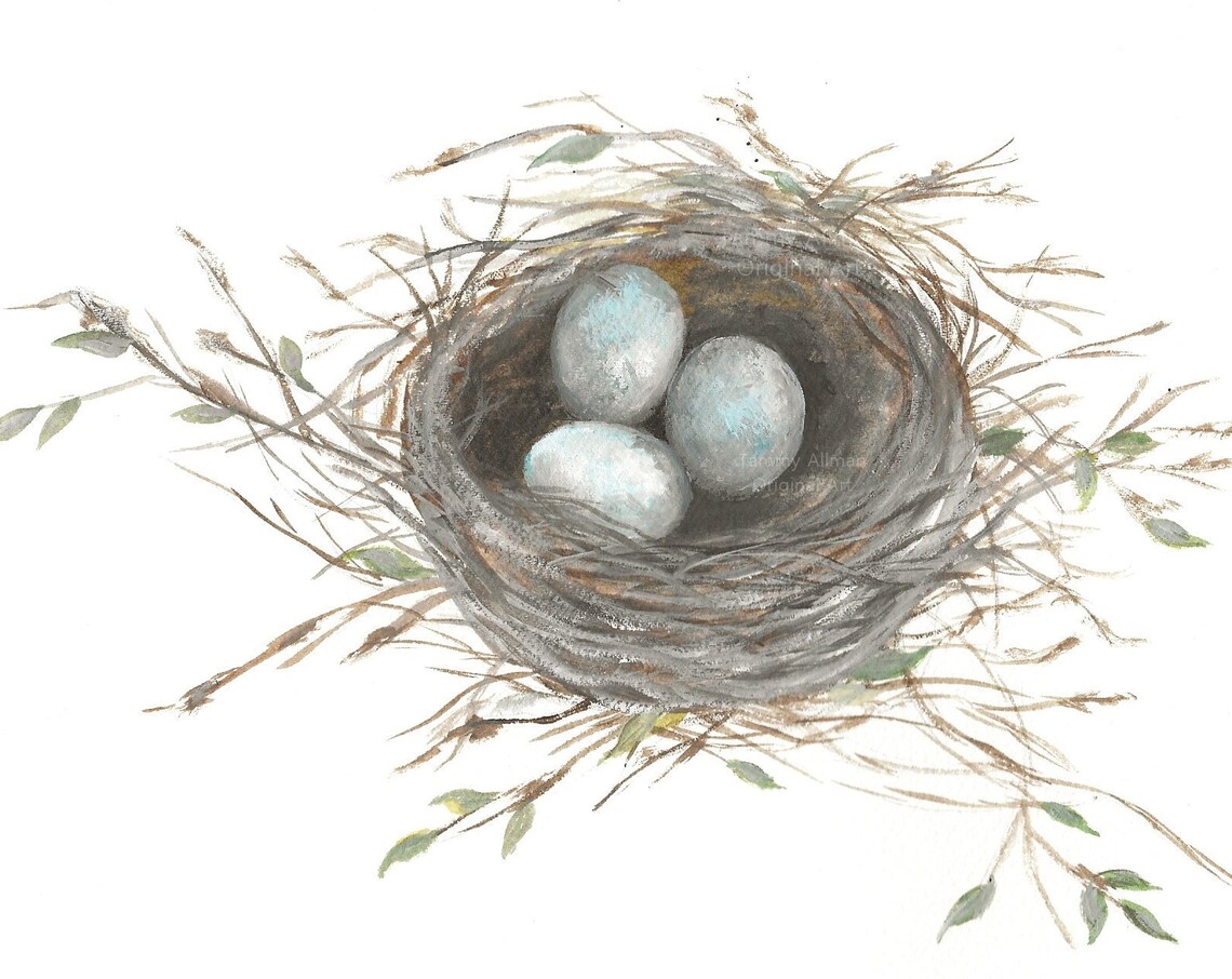 Watercolor Robin's Nest Art Print, Bird Wall Decor