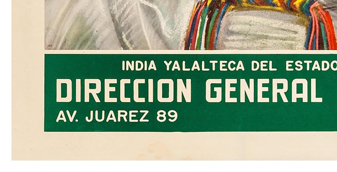 Mexico Oaxaca Yalalteca Woman Portrait Cactus Vintage Travel Poster - Image 2