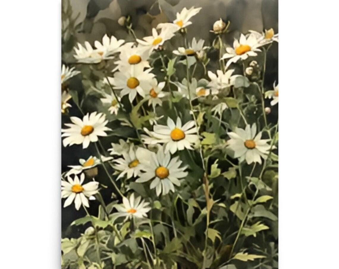White Daisy Wildflowers Meadow Watercolor Floral Garden Art Poster